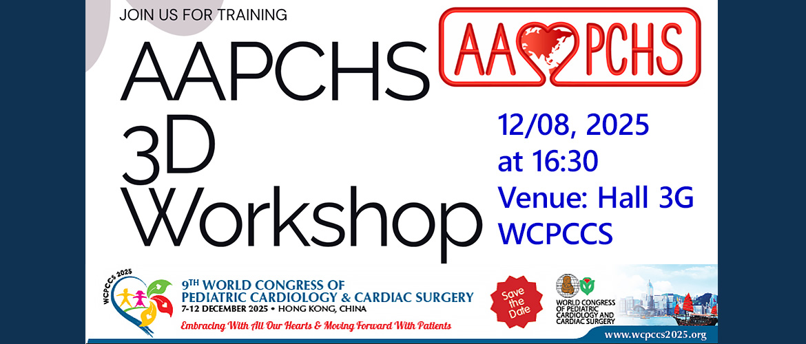 AAPCHS 3D Workshop at WCPCCS 2025